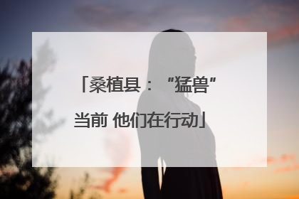 桑植县：“猛兽”当前 他们在行动