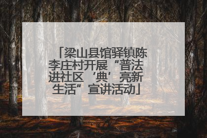 梁山县馆驿镇陈李庄村开展“普法进社区‘典’亮新生活”宣讲活动
