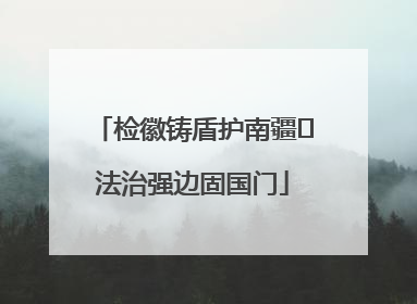 检徽铸盾护南疆 法治强边固国门