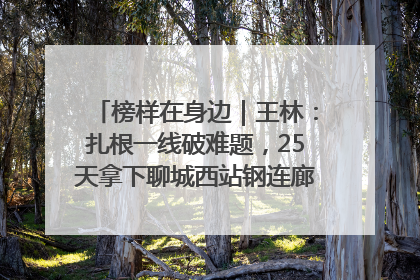 榜样在身边｜王林：扎根一线破难题，25天拿下聊城西站钢连廊“硬核”工程