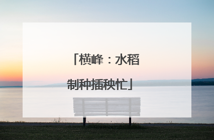 横峰：水稻制种插秧忙