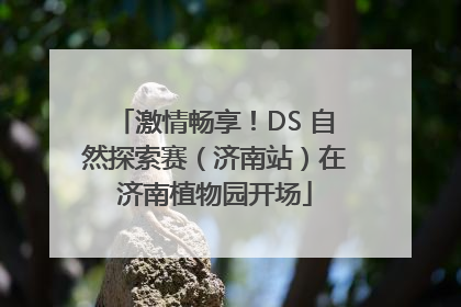 激情畅享！DS 自然探索赛（济南站）在济南植物园开场