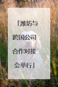 潍坊与跨国公司合作对接会举行