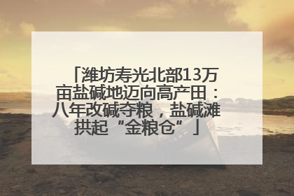 潍坊寿光北部13万亩盐碱地迈向高产田：八年改碱夺粮，盐碱滩拱起“金粮仓”