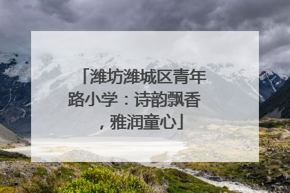 潍坊潍城区青年路小学：诗韵飘香，雅润童心