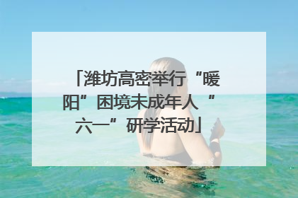 潍坊高密举行“暖阳”困境未成年人“六一”研学活动