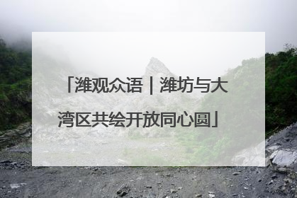 潍观众语｜潍坊与大湾区共绘开放同心圆