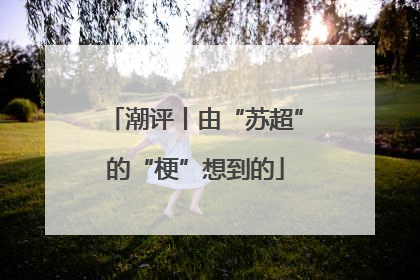 潮评丨由“苏超”的“梗”想到的