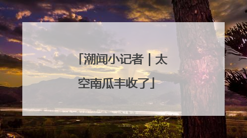 潮闻小记者｜太空南瓜丰收了
