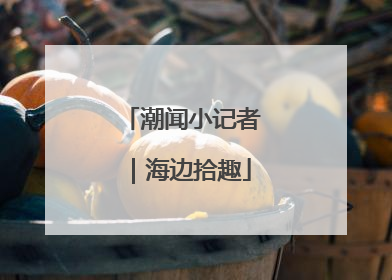 潮闻小记者｜海边拾趣