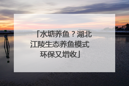 水塘养鱼？湖北江陵生态养鱼模式环保又增收