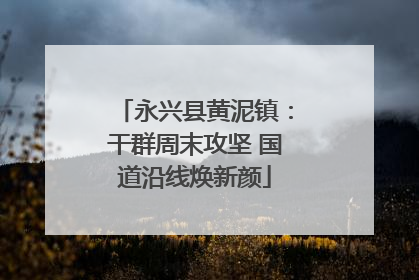 永兴县黄泥镇：干群周末攻坚 国道沿线焕新颜