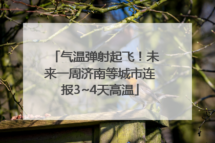 气温弹射起飞！未来一周济南等城市连报3~4天高温