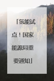 氢能试点！国家能源局重要通知