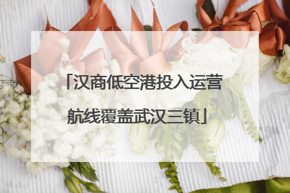 汉商低空港投入运营 航线覆盖武汉三镇