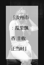 汝州市：瓜果飘香 丰收正当时