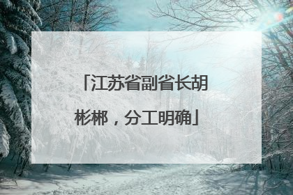 江苏省副省长胡彬郴，分工明确