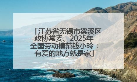 江苏省无锡市梁溪区政协常委、2025年全国劳动模范钱小玲：有爱的地方就是家