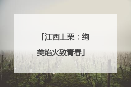 江西上栗：绚美焰火致青春