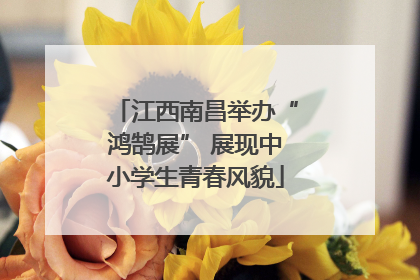 江西南昌举办“鸿鹄展” 展现中小学生青春风貌