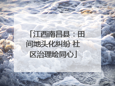 江西南昌县：田间地头化纠纷 社区治理绘同心