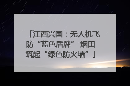 江西兴国：无人机飞防“蓝色盾牌” 烟田筑起“绿色防火墙”