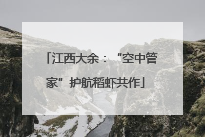 江西大余：“空中管家”护航稻虾共作