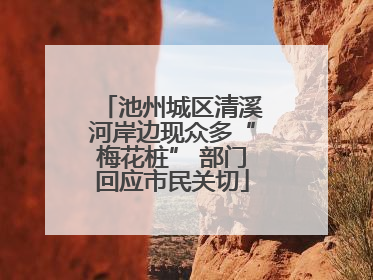 池州城区清溪河岸边现众多“梅花桩” 部门回应市民关切