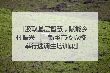 汲取基层智慧，赋能乡村振兴——新乡市委党校举行选调生培训课