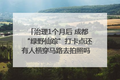 治理1个月后 成都“绿野仙踪”打卡点还有人横穿马路去拍照吗？｜民情瞭望
