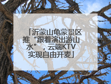 沂蒙山龟蒙景区推“跟着演出游山水”，云端KTV实现自由开麦