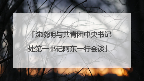 沈晓明与共青团中央书记处第一书记阿东一行会谈
