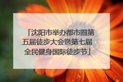 沈阳市举办都市圈第五届徒步大会暨第七届全民健身国际徒步节