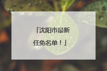 沈阳市最新任免名单！