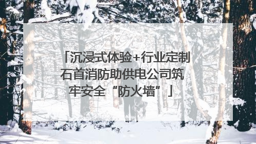 沉浸式体验+行业定制 石首消防助供电公司筑牢安全“防火墙”