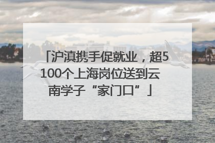 沪滇携手促就业，超5100个上海岗位送到云南学子“家门口”