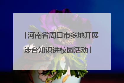 河南省周口市多地开展涉台知识进校园活动