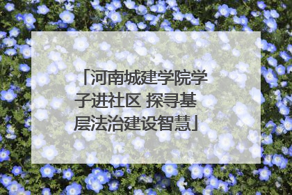 河南城建学院学子进社区 探寻基层法治建设智慧