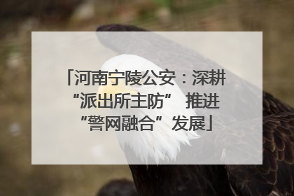 河南宁陵公安：深耕“派出所主防” 推进“警网融合”发展