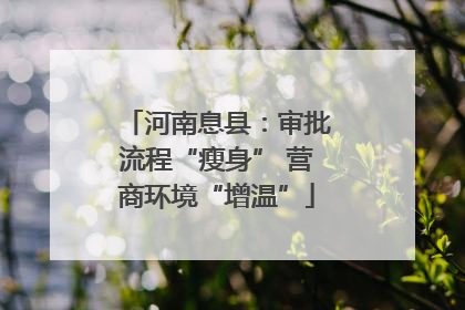 河南息县：审批流程“瘦身” 营商环境“增温”