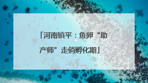 河南镇平：鱼卵“助产师”走俏孵化期