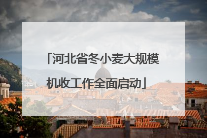 河北省冬小麦大规模机收工作全面启动
