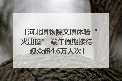 河北博物院文博体验“火出圈” 端午假期接待观众超4.6万人次