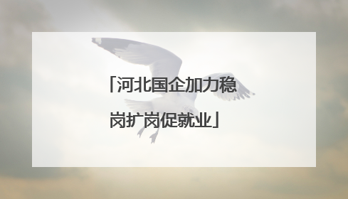河北国企加力稳岗扩岗促就业