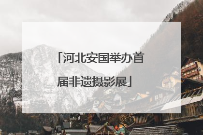 河北安国举办首届非遗摄影展