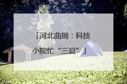 河北曲周：科技小院忙“三夏”
