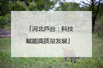 河北芦台：科技赋能高质量发展