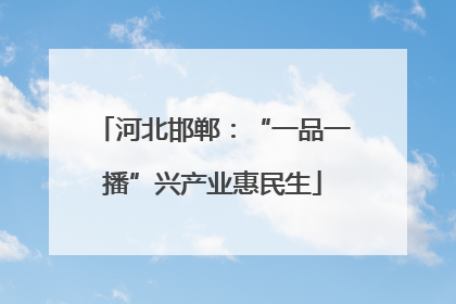 河北邯郸：“一品一播”兴产业惠民生