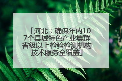 河北：确保年内107个县域特色产业集群省级以上检验检测机构技术服务全覆盖