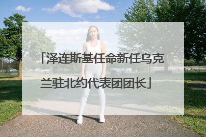泽连斯基任命新任乌克兰驻北约代表团团长